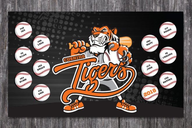 Custom Vinyl Baseball Banner